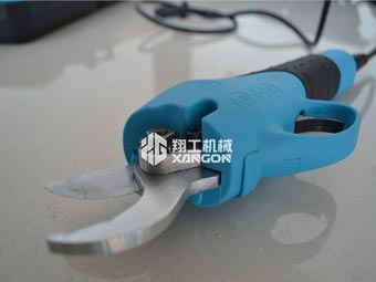 果樹修剪時，電動修枝剪助您一臂之力